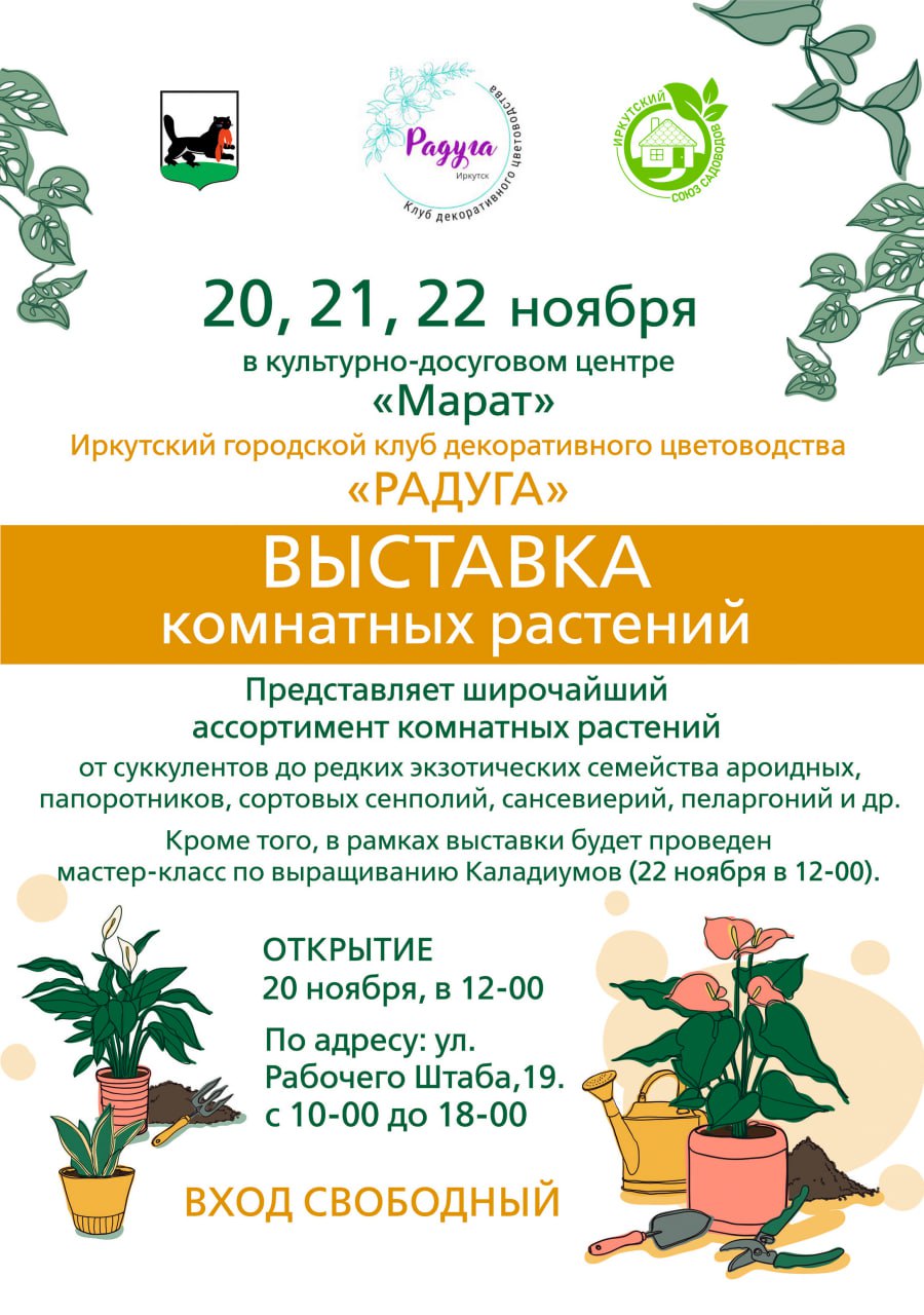 Выставка комнатных растений состоится в Иркутске.