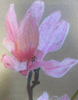 Курс «Искусство и творчество» проекта Активное долголетие