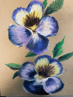 Курс «Искусство и творчество» проекта Активное долголетие