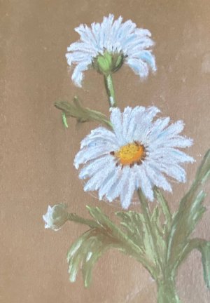 Курс «Искусство и творчество» проекта Активное долголетие