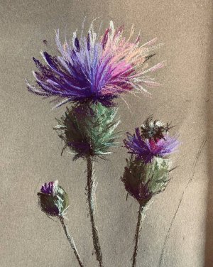 Курс «Искусство и творчество» проекта Активное долголетие