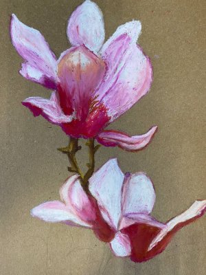 Курс «Искусство и творчество» проекта Активное долголетие