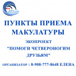 В Иркутске стартовал благотворительный эко-проект «Помоги четвероногим друзьям»