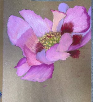 Курс «Искусство и творчество» проекта Активное долголетие