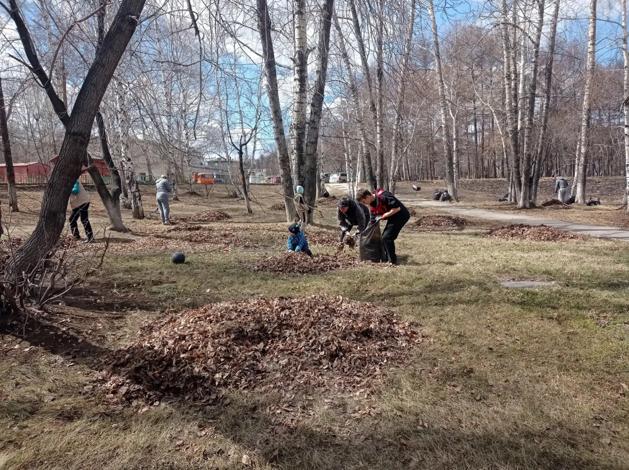 Иркутяне привели в порядок ряд территорий на общегородском субботнике