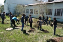 Стартовал прием заявок по проекту «Любимому городу – новые скверы!»