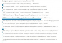 Завершилось голосование за лучший социально значимый проект территориального общественного самоуправления города Иркутска