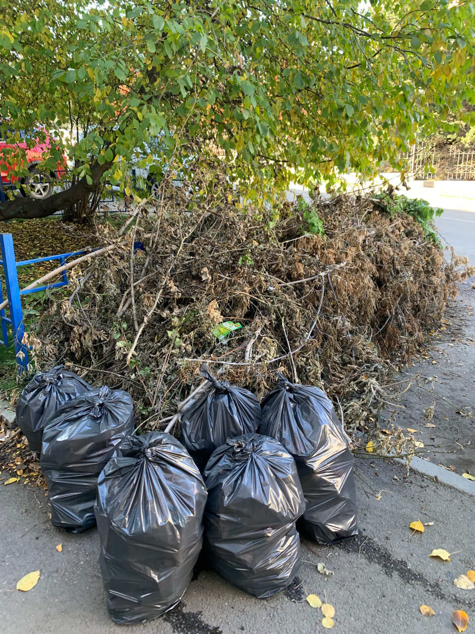 Члены ТОС «Рубин», эко-отряд «КПСС» ИрГУПС и жители Студгородка приняли участие в общегородском субботнике